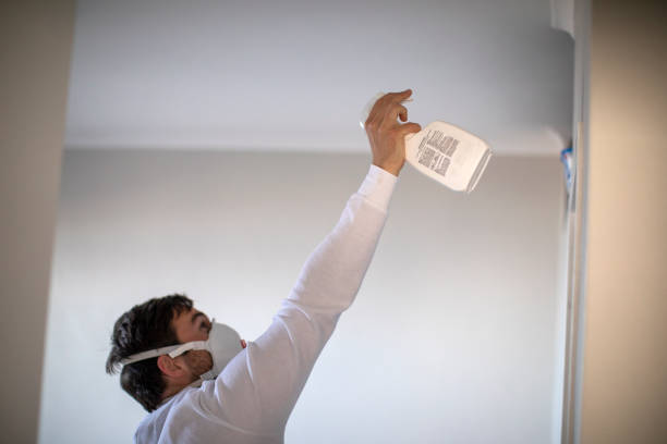 Best Mold Cleaning Services  in Chamberlayne, VA