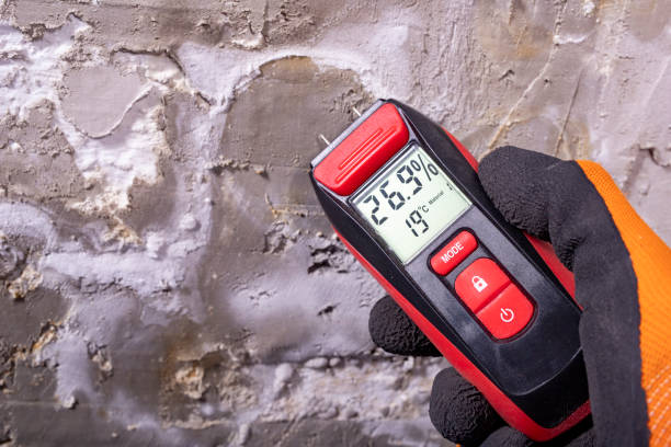 Best Crawl Space Mold Removal  in Chamberlayne, VA