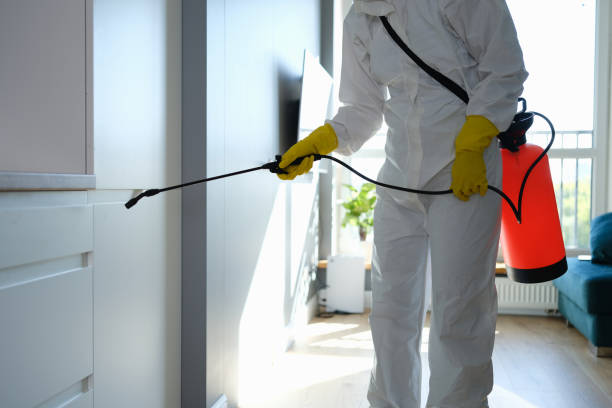 Best Mold Remediation Services  in Chamberlayne, VA