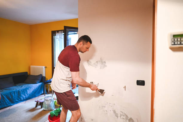 Best Commercial Mold Removal  in Chamberlayne, VA