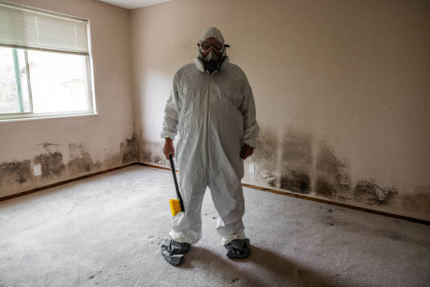 Best Mold Testing  in Chamberlayne, VA